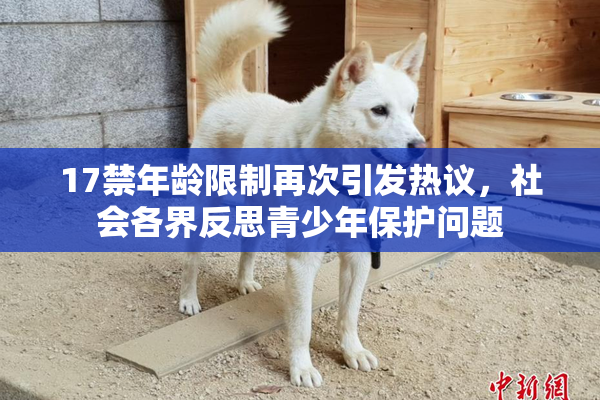 17禁年龄限制再次引发热议，社会各界反思青少年保护问题