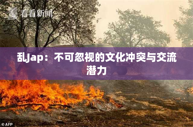 乱Jap：不可忽视的文化冲突与交流潜力