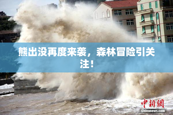熊出没再度来袭，森林冒险引关注！