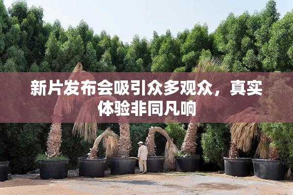 新片发布会吸引众多观众，真实体验非同凡响