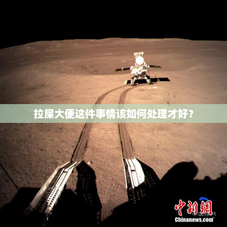 拉屎大便这件事情该如何处理才好？