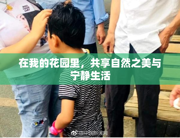 在我的花园里，共享自然之美与宁静生活