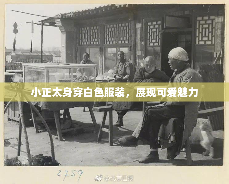 小正太身穿白色服装，展现可爱魅力