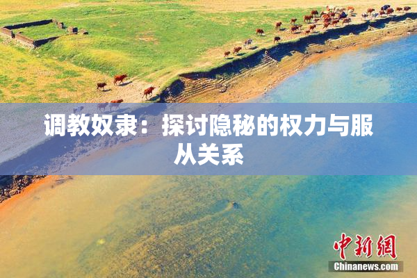 调教奴隶：探讨隐秘的权力与服从关系