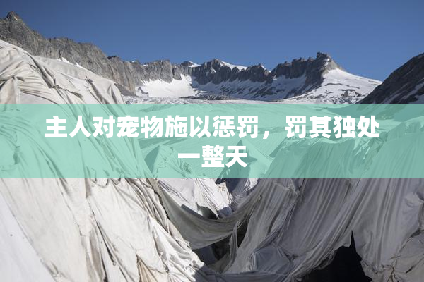 主人对宠物施以惩罚，罚其独处一整天