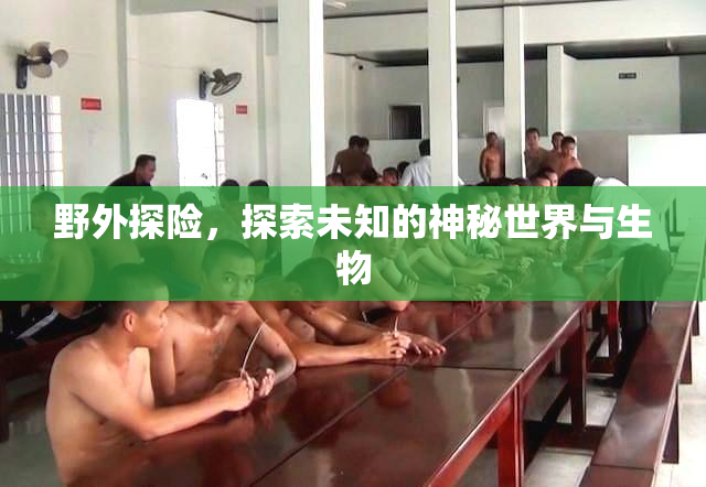 野外探险，探索未知的神秘世界与生物