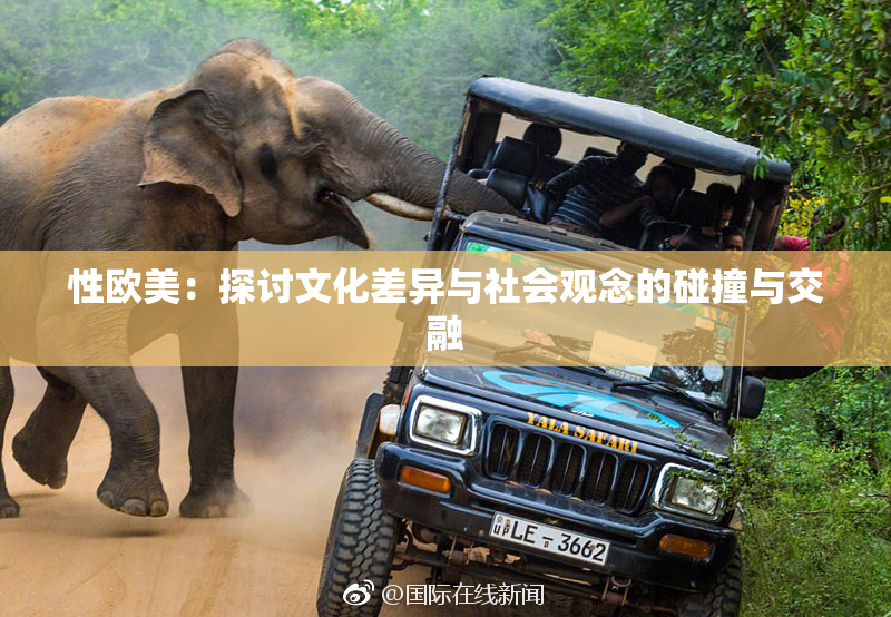 性欧美：探讨文化差异与社会观念的碰撞与交融