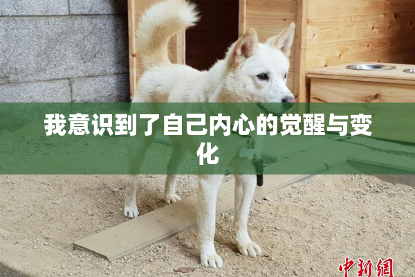 我意识到了自己内心的觉醒与变化