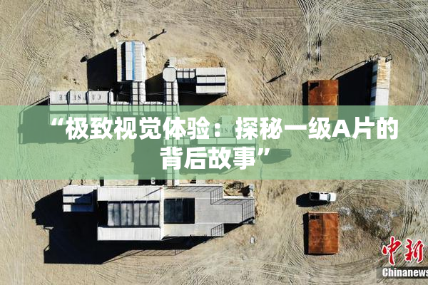 “极致视觉体验：探秘一级A片的背后故事”
