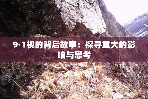 9·1视的背后故事：探寻重大的影响与思考