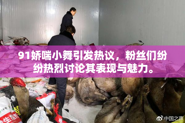91娇喘小舞引发热议，粉丝们纷纷热烈讨论其表现与魅力。