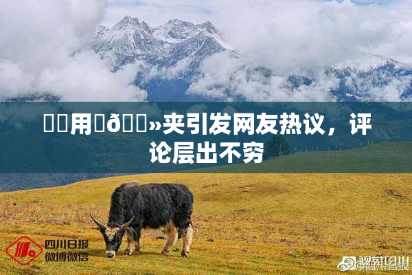 妺妺用‌🐻夹引发网友热议，评论层出不穷