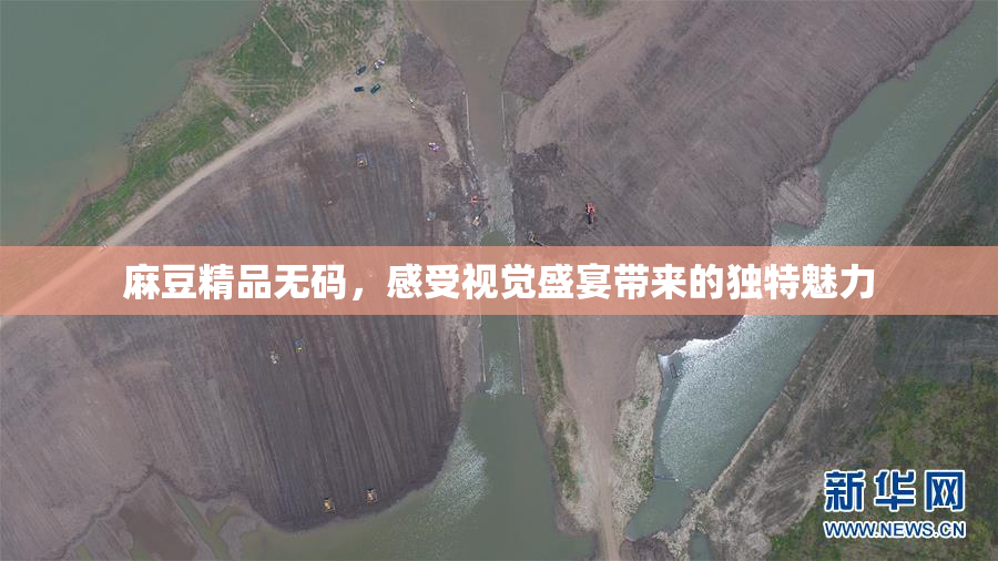 麻豆精品无码，感受视觉盛宴带来的独特魅力