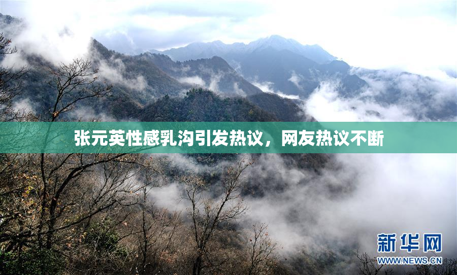 张元英性感乳沟引发热议，网友热议不断