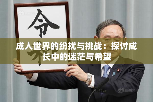 成人世界的纷扰与挑战：探讨成长中的迷茫与希望