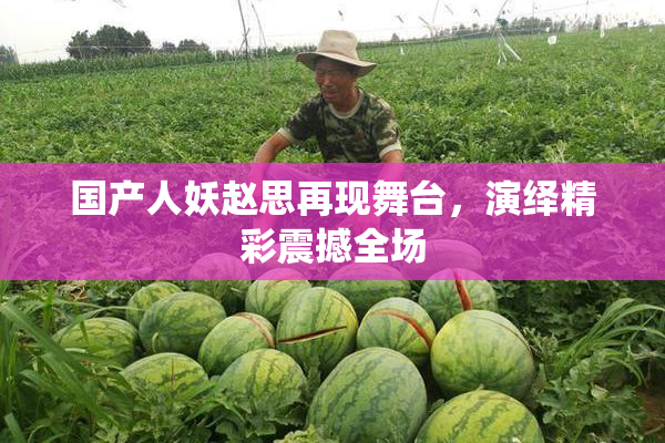 国产人妖赵思再现舞台，演绎精彩震撼全场