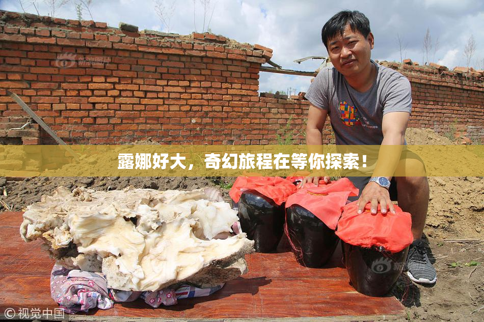 露娜好大，奇幻旅程在等你探索！