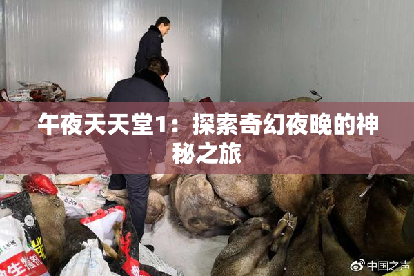 午夜天天堂1：探索奇幻夜晚的神秘之旅