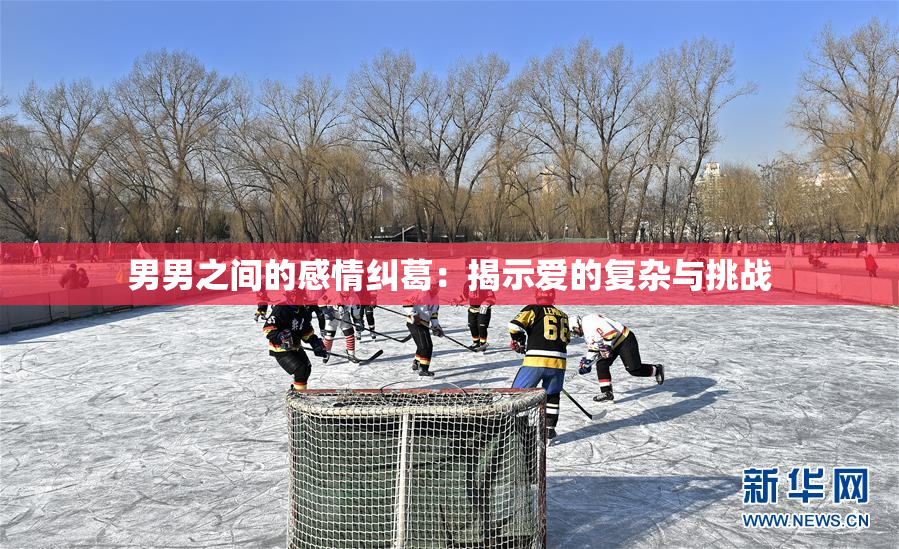 男男之间的感情纠葛：揭示爱的复杂与挑战