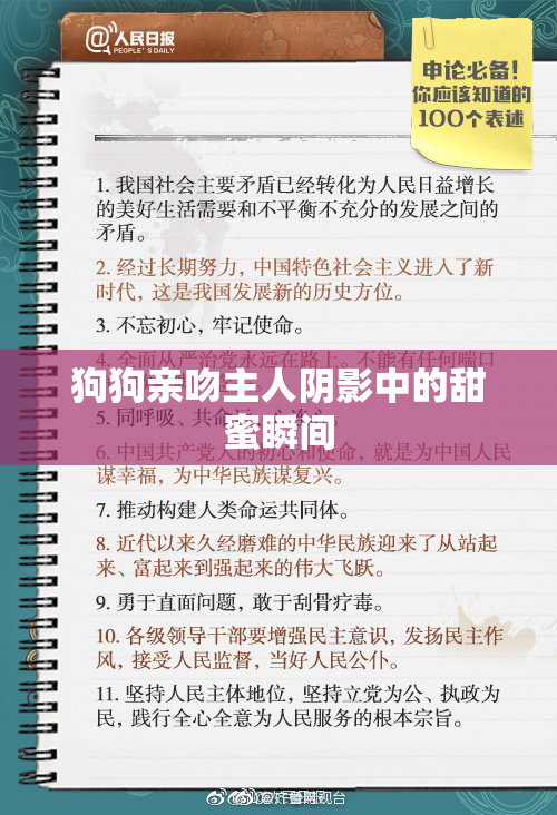 狗狗亲吻主人阴影中的甜蜜瞬间