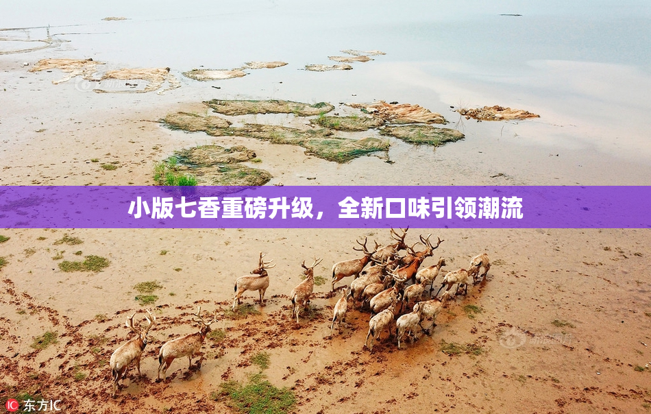 小版七香重磅升级，全新口味引领潮流