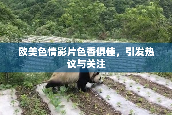 欧美色情影片色香俱佳，引发热议与关注