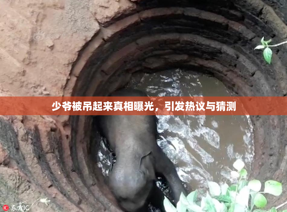 少爷被吊起来真相曝光，引发热议与猜测