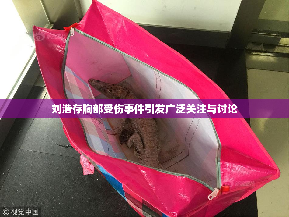 刘浩存胸部受伤事件引发广泛关注与讨论