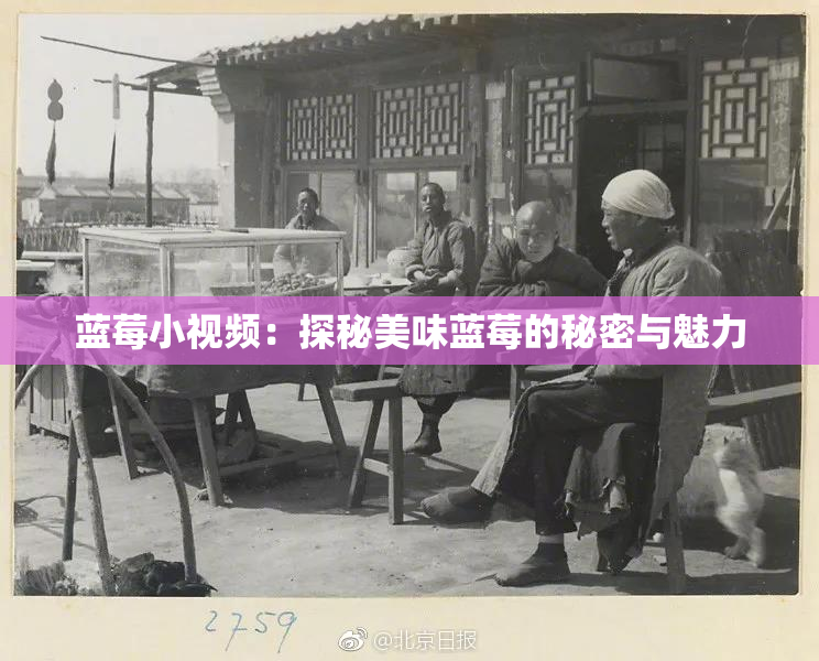 蓝莓小视频：探秘美味蓝莓的秘密与魅力