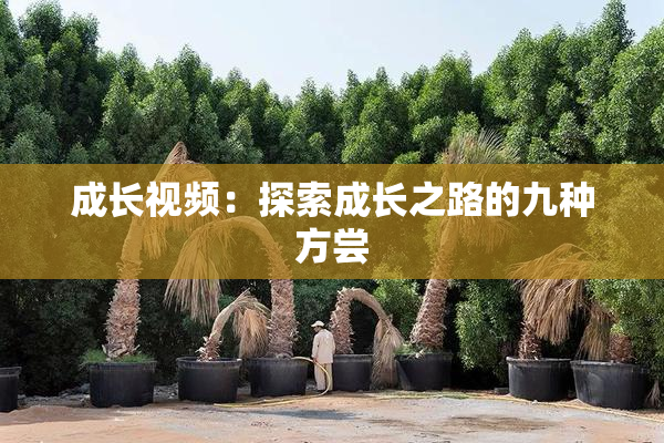 成长视频：探索成长之路的九种方尝
