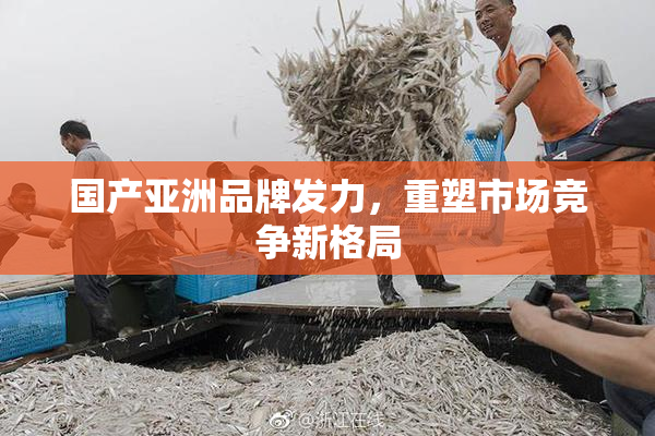 国产亚洲品牌发力，重塑市场竞争新格局