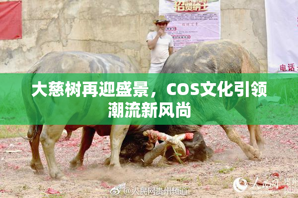 大慈树再迎盛景，COS文化引领潮流新风尚
