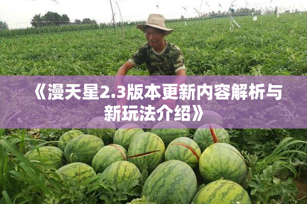 《漫天星2.3版本更新内容解析与新玩法介绍》