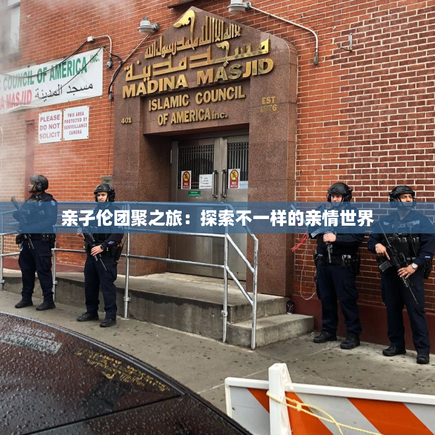 亲孑伦团聚之旅：探索不一样的亲情世界