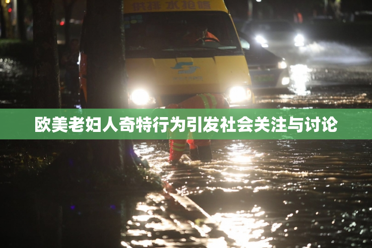 欧美老妇人奇特行为引发社会关注与讨论