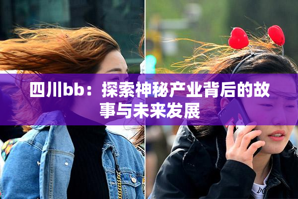 四川bb：探索神秘产业背后的故事与未来发展
