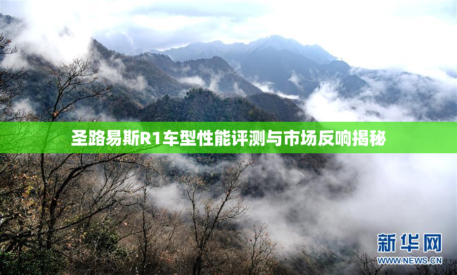圣路易斯R1车型性能评测与市场反响揭秘