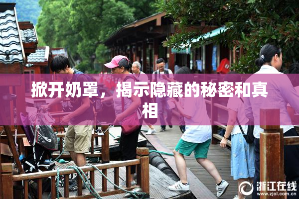 掀开奶罩，揭示隐藏的秘密和真相