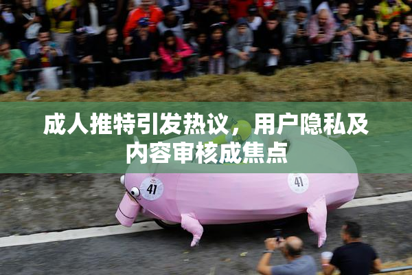 成人推特引发热议，用户隐私及内容审核成焦点