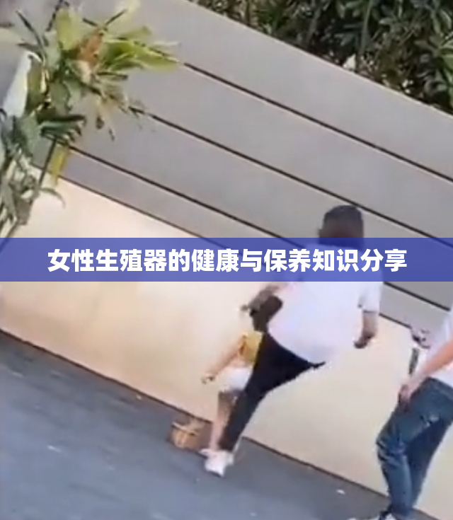 女性生殖器的健康与保养知识分享