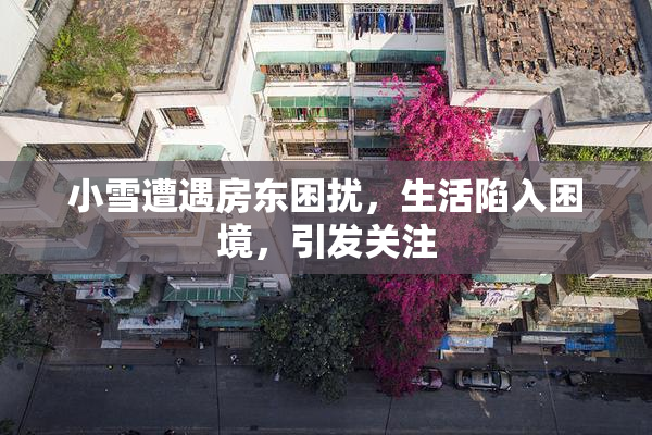 小雪遭遇房东困扰，生活陷入困境，引发关注