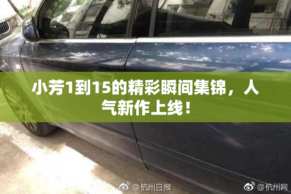 小芳1到15的精彩瞬间集锦，人气新作上线！