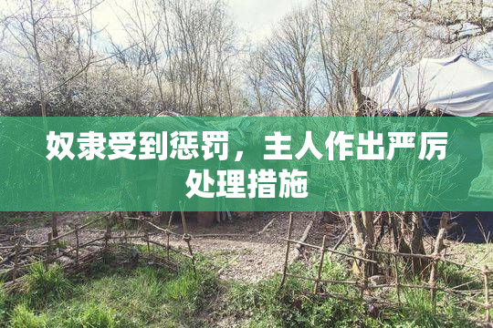 奴隶受到惩罚，主人作出严厉处理措施