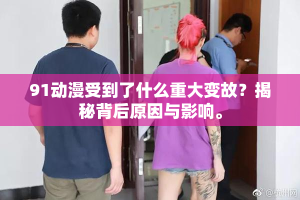 91动漫受到了什么重大变故？揭秘背后原因与影响。
