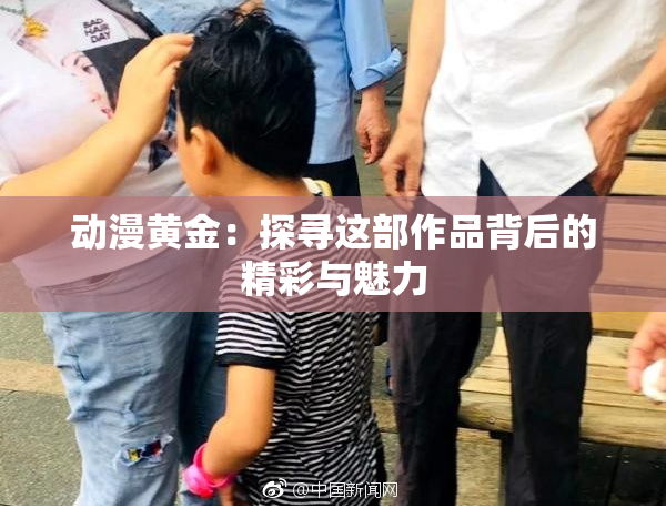 动漫黄金：探寻这部作品背后的精彩与魅力