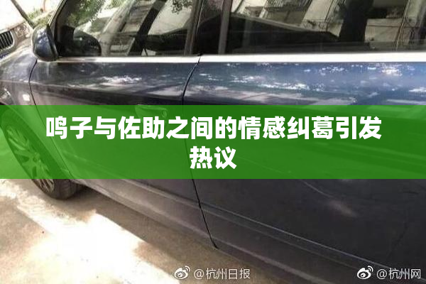 鸣子与佐助之间的情感纠葛引发热议
