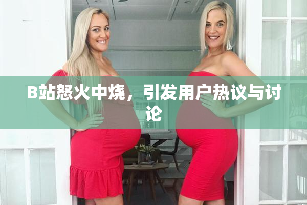 B站怒火中烧，引发用户热议与讨论