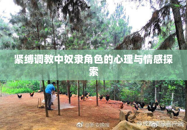 紧缚调教中奴隶角色的心理与情感探索