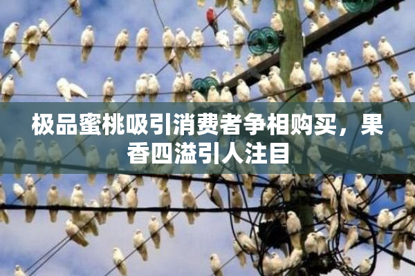 极品蜜桃吸引消费者争相购买，果香四溢引人注目