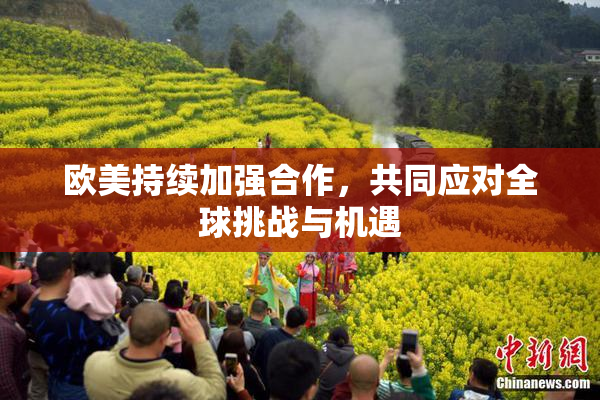 欧美持续加强合作，共同应对全球挑战与机遇